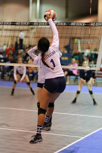 IMG_8914.jpg