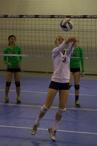 IMG_6015.jpg