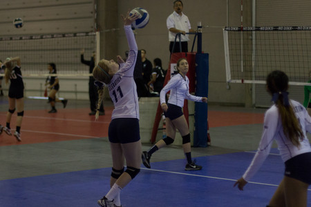 IMG_6032.jpg