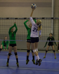 IMG_6034.jpg