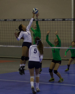 IMG_6122.jpg