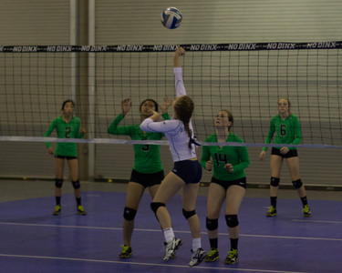 IMG_6124.jpg