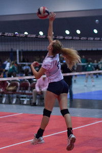 IMG_7246.jpg