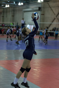 IMG_6245.jpg