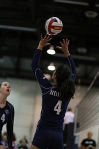 IMG_8119.jpg